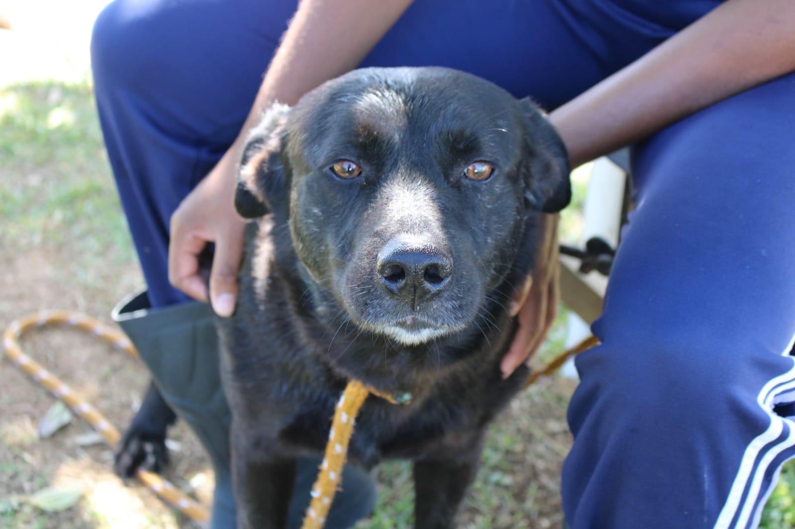 Imagem Noticia Destaque