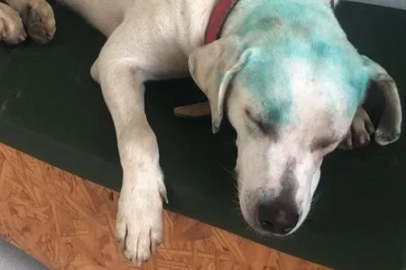 Imagem Noticia Destaque